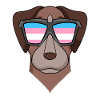 Transgender Transsexual Pointer Dog Gift