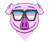 Transgender Transsexual Pig Gift