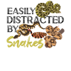 Serpent facilement distrait par