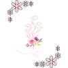 Pink Spring