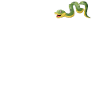 Snake Serpent Pocket