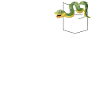 Snake Serpent Pocket