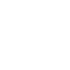 Baryonyx Fossil Head