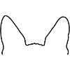Sphynx Ohren