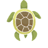 Shell yeah