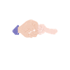 Father