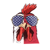 Hühnerflüsterer Chicken Whisperer