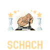 Schach Schachspieler