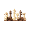 Schach Schachspieler