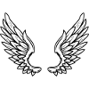 Wing