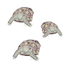 Sea turtles Turtle lovers