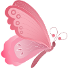 papillon rose