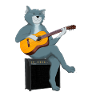 CAT PLAYING ACOUSTIC GUITAR