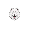 Lustiges Samojede Design