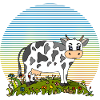 Cow