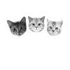 Drink Up Pussies