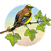Oiseau
