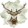 Hirsch