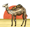 Camel