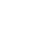 Programmer Coder Software Developer