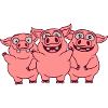 Funny funny pig team