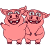 Team funny happy pigs