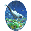 Marine life