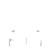 Programmierer Coder Software Entwickler
