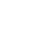 Programmer Coder Software Developer