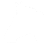 horse's head