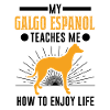 Galgo Espanol Gift Spanish Greyhound