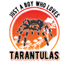 Tarentule Garçon Tarentule