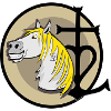 Camargue Horse