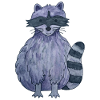 cute raccoon
