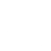 rat, surmulot, rongeur