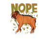 Nope - dog