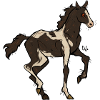 red eyed foal