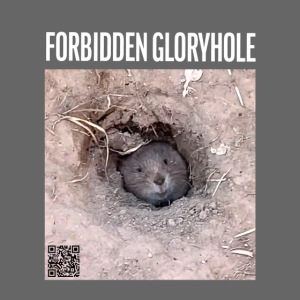 Forbidden Gloryhole