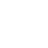 Haflinger Pferde Galopp Islandpferde Statement