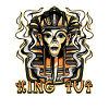 Egyptisk mytologidesign for en fan av det gamle Egypt