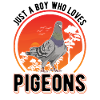 Pigeon Young pigeon fanciers
