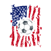 Football USA Flag
