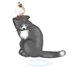 Chat et oiseau