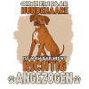 Hundehalter Training Rhodesian Ridgeback Hunde
