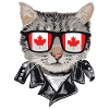 Cat Canada Flag Sunglasses