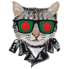 Cat Bangladesh Flag Sunglasses