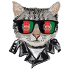 Cat sunglasses with Afghanistan flag