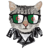 Cat sunglasses with Algerian flag