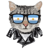 Cat sunglasses with Argentina flag