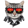 Cat Anola Flag Sunglasses